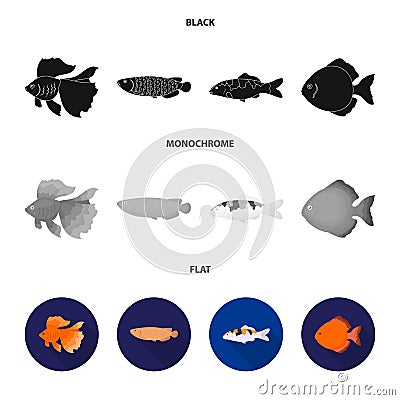 Discus, gold, carp, koi, scleropages, fotmosus.Fish set collection icons in black, flat, monochrome style vector symbol Vector Illustration