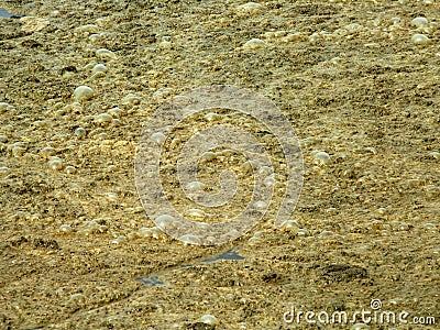 Disgusting Sewage Background Stock Photo