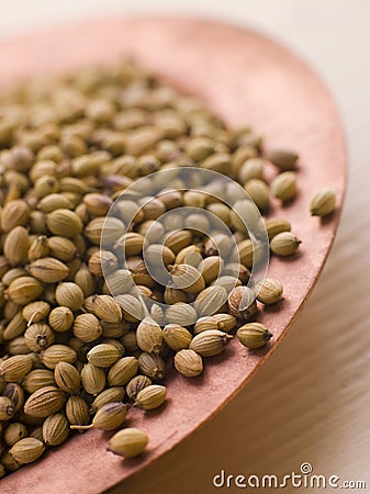 Dish of Coriander Seeds Stock Photo