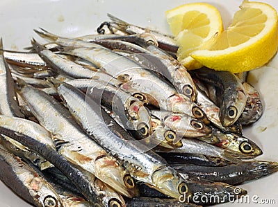 Dish with fresh little sardines just fished and lemon Stock Photo
