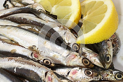Dish with raw sardines just fished and lemon Stock Photo
