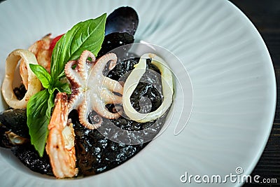 Dish of risotto with squid ink on grey plate jpg Stock Photo