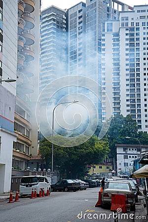 Disinfection of the room. A lot of smoke etching insects Editorial Stock Photo