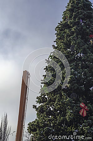 Dismantling the city's main Christmas tree Stock Photo