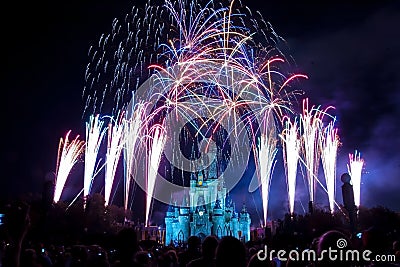 Disney World Castle Fireworks Editorial Stock Photo