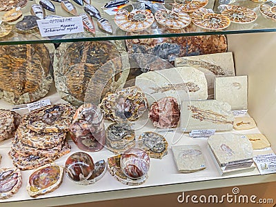 Display case filled with collectible items such as polished stones, shells, and possibly natural objects Items showcase Editorial Stock Photo