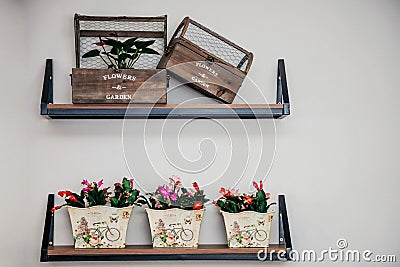 Exquisite flower shop wall display Stock Photo