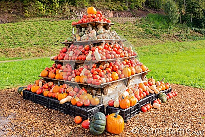 Display of pumpkins, squash and gourds Stock Photo