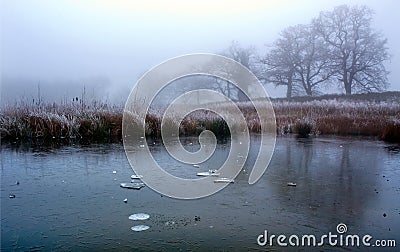 Diss Norfolk Lost Nature Reserve Sawmills Raod Stock Photo