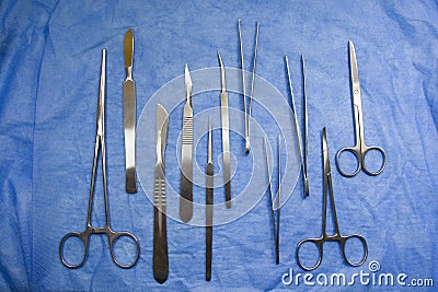 Dissection Kit, Stainless Steel Tools for Medical Students of Anatomy, Biology, Veterinary Stock Photo