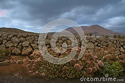 Landscape on Lanzarote Stock Photo