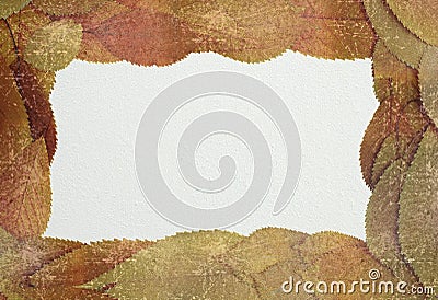 Distressed autumn backdrop with place for text Stock Photo