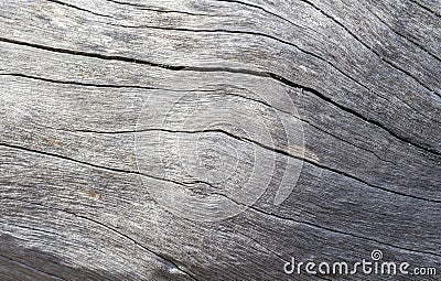 Distressed wooden texture closeup photo. Cold grey wood background. Stock Photo