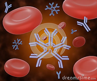 The distribution of antibody immunoglobulin M interaction forces on individual red blood cells Stock Photo