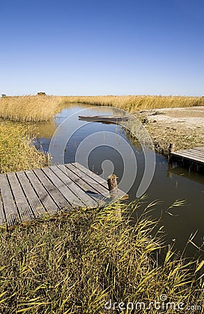 ditch and reed Stock Photo