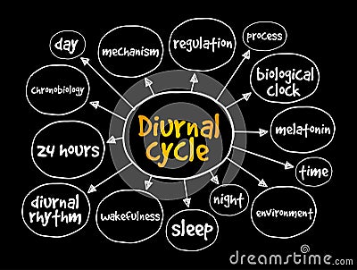Diurnal cycle mind map, concept for presentations and reports Stock Photo