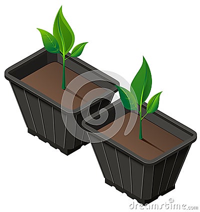 Div seedlings in plastic cup. Planting seedlings and growth Vector Illustration