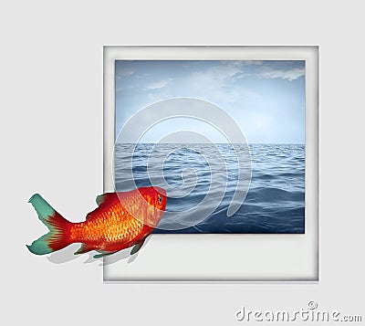 Dive into the Ocean Stock Photo