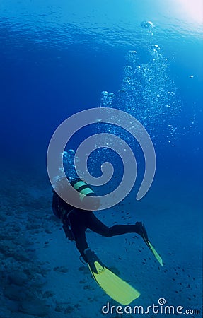 Diver Stock Photo