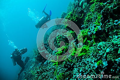 Diver blue water scuba diving bunaken indonesia sea reef ocean Editorial Stock Photo