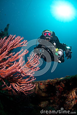 Diver and coral Stock Photo