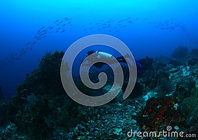 Diver on coral reef Stock Photo