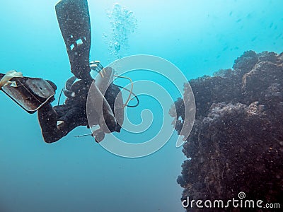 Diver is diving in the sea, Myanmar Editorial Stock Photo