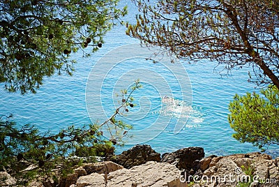 Diver diving in the turquoise sea, Croatia Dalmatia Stock Photo