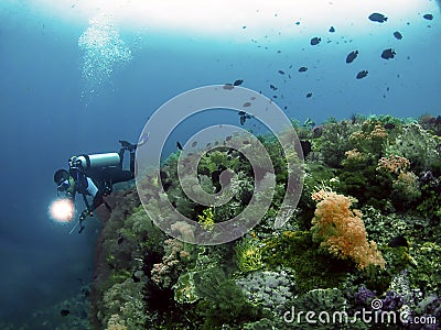 A diver exploring the coral reefs Editorial Stock Photo