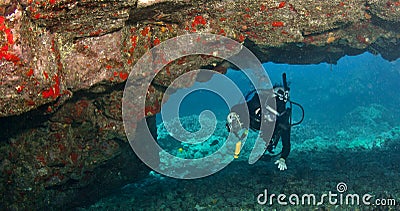 Diver exploring a Lava Arch in Hawaii Stock Photo