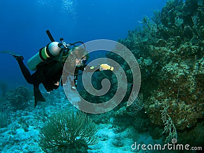 Diver Exploring the Reef with a Flashlight Stock Photo