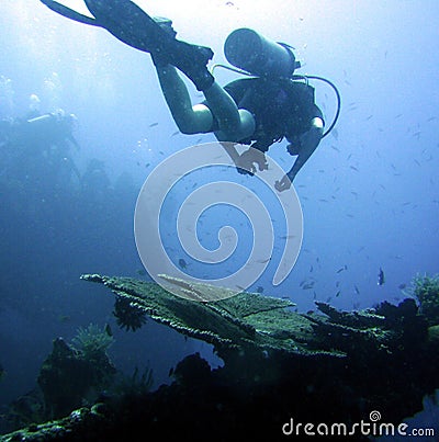Diver exploring wrecked ship Stock Photo