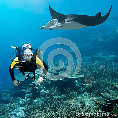 Diver and manta Stock Photo