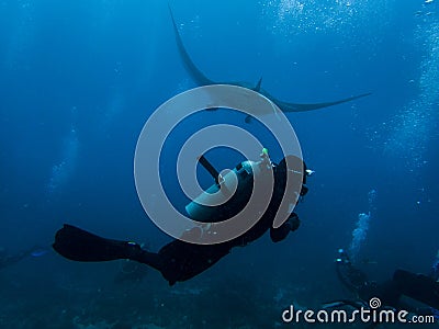 Diver with a manta ray Stock Photo