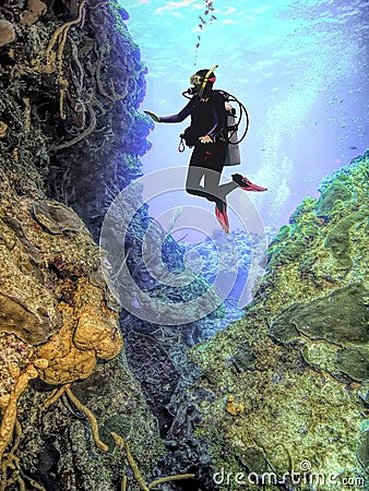 A Diver Observes a Coral Wall off the Island of Saint Kitts Stock Photo