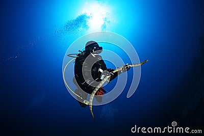 Diver sea snake nderwater diving picture ocean Stock Photo