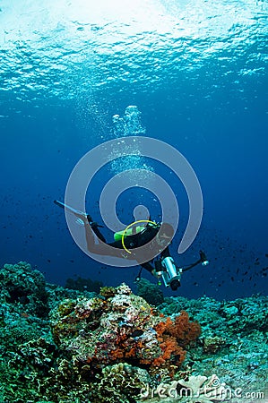 Diver swimming in Banda, Indonesia underwater photo Editorial Stock Photo