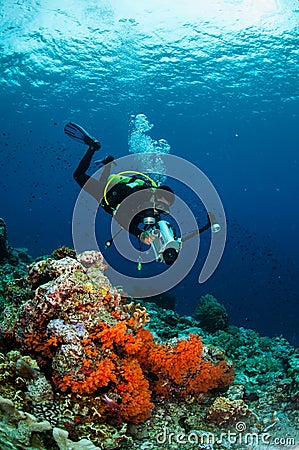 Diver swimming in Banda, Indonesia underwater photo Editorial Stock Photo