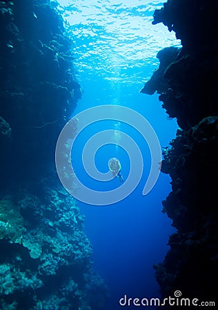 Diver swimming between underwater cliffs Stock Photo