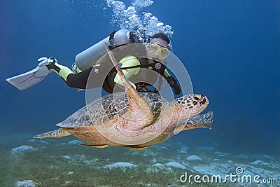 Diver and turtle Stock Photo