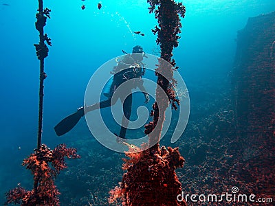 Diver at a wreck Stock Photo