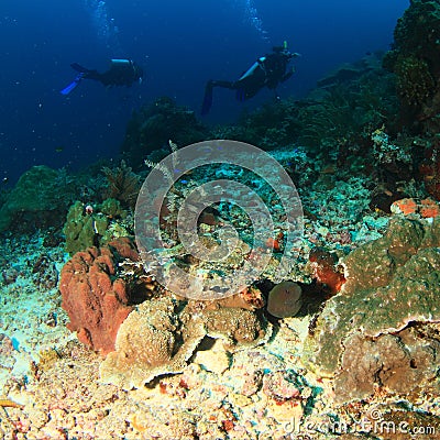 Divers on coral reef Stock Photo