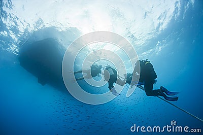 Divers decompressing underwater on a rope Stock Photo