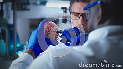 Diverse colleagues discussing lab grown meat Stock Photo