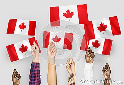 Diverse hands waving flags of Canada Stock Photo