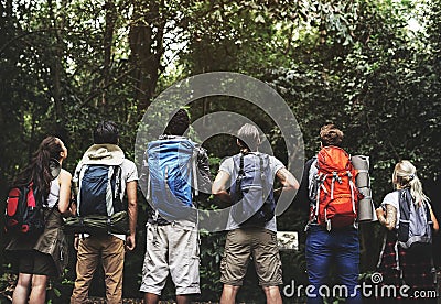 Diverse people Trekking in a forest Stock Photo
