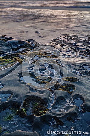 Diversity Graces the Coastal Landscape of California Stock Photo