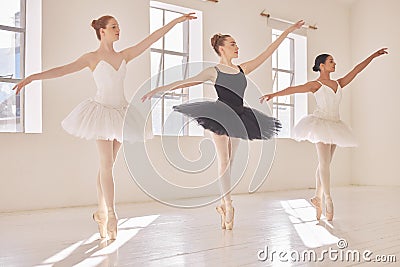 Diversity women in ballet dance collaboration, art school team performance and dancing in class studio. Young Stock Photo