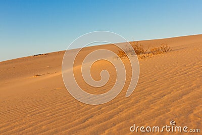 Divided photography on two part by sand and sky. Lands and panorama background. Sustainable ecosystem. Yellow dunes at Stock Photo