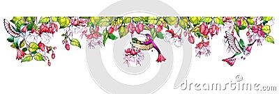 Divider with fuchsia flowers and hummingbird bird. Decorative frame from tropical design. Ornament of blossom plants and Vector Illustration